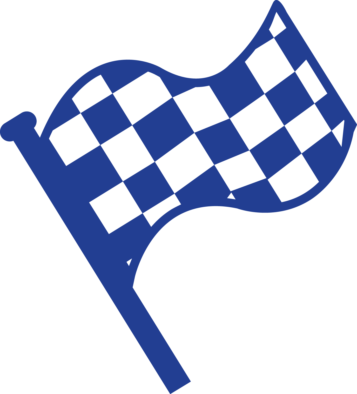 Bandera Meta (1481x1636)