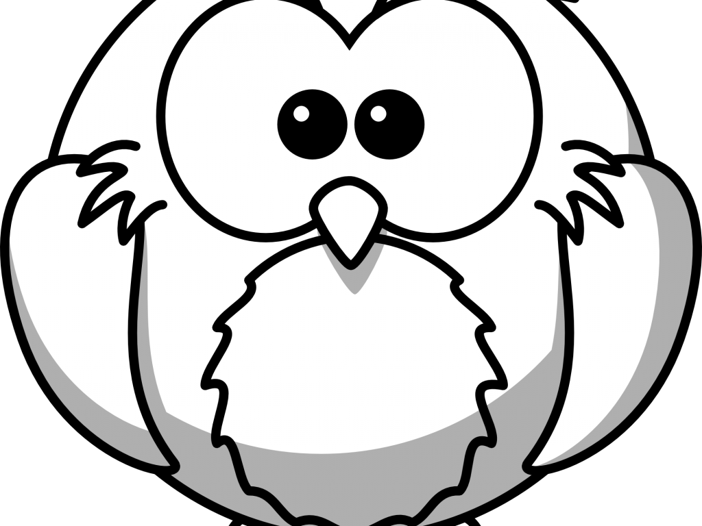 Black And White Cartoon Drawings Free Download Clip - Outline Drawing Of Owl (1024x768)