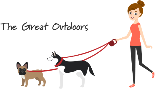 Spring Into Spring 3rd Image V2 - The Great Outdoors (590x340)