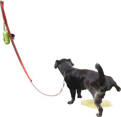 So You Can Put Dog Pee On Your Friends' Text Messages - Dog (397x384)