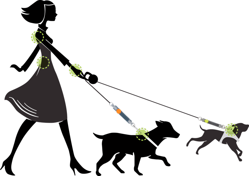 Waw Is The Innovative Anti Shock System Designed To - Girl Walking Dog Silhouette (800x568)