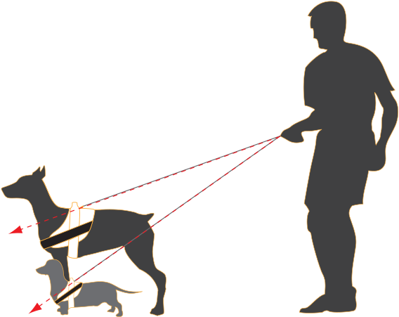 The Load Acts On The Chest Of Dogs Of Different Sizes - Dog Harness (800x600)