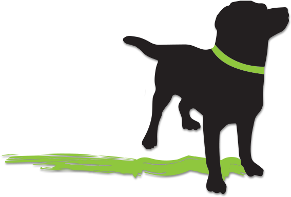 Dog Walking And Pet Sitting Services - Labrador Retriever Shower Curtain (611x425)