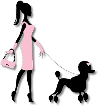 Contact - Standard Poodle (353x508)