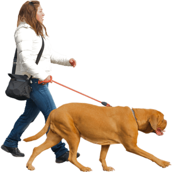 [ Img] - People Walking With Dog (500x377)