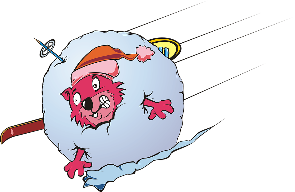 Marmot, Mammal, Rodent, Red, Pink, Ski, Snow, Mountain - Marmot (960x625)