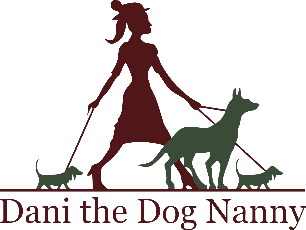 Danielle Sigmon - Illustration (1267x978)