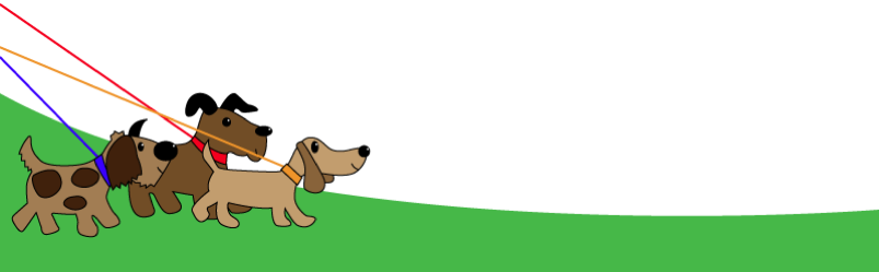 2013 Muttley's Dog Walking & Pet Care Limited Web Design - Basset Hound (803x249)