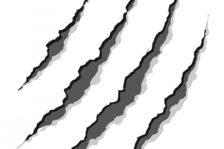 Wildcat Clipart Panther Claw - Transparent Background Claw Marks (450x300)
