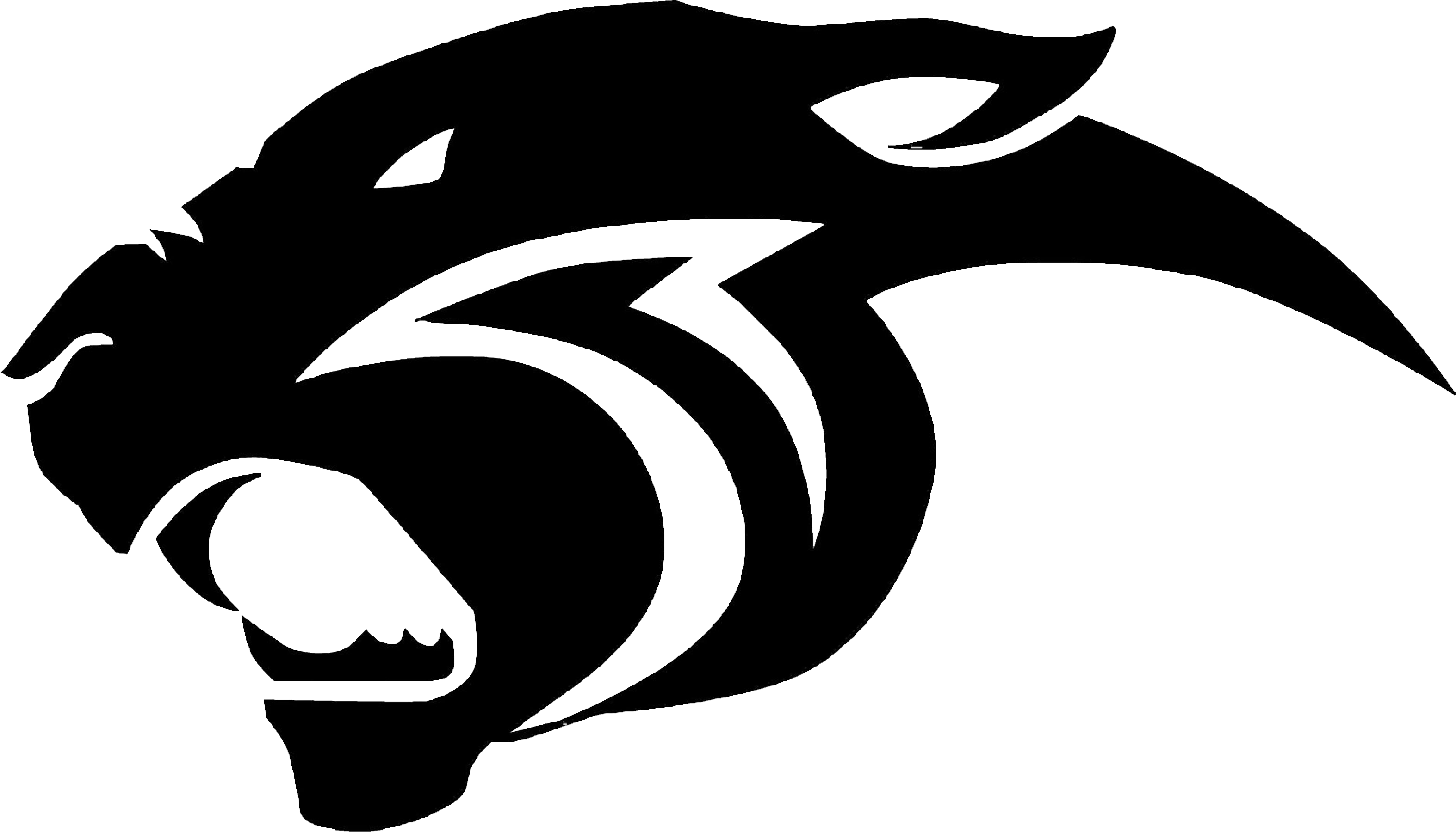 Newbury Park Team Home Newbury Park Panthers Sports - Park Hill South Panthers (3450x2099)