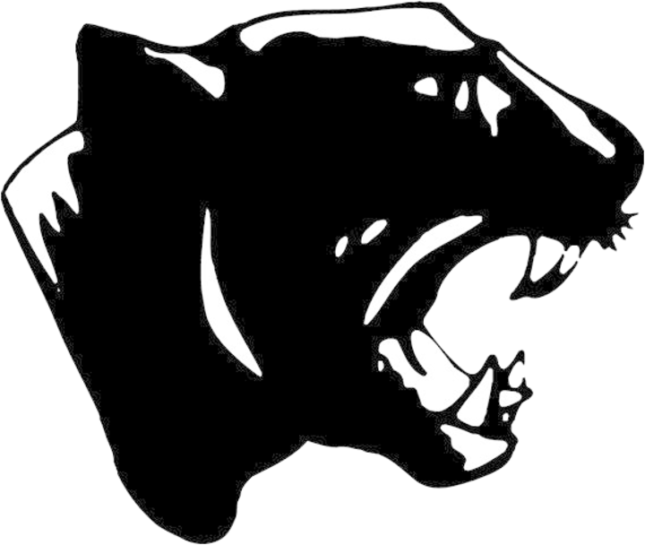 Derby High School Panthers (720x608)