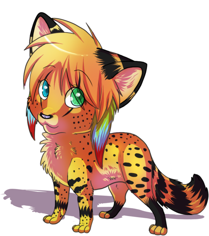 Neko Wolf Chibi - Gray Wolf (894x894)