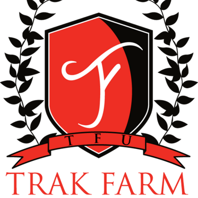 Trakfarm - Diary Of Anne Frank (400x400)