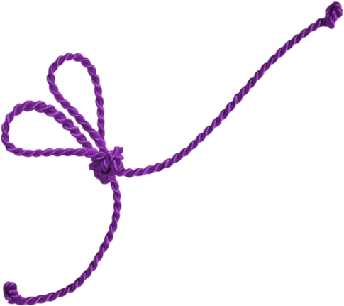 Rope Shoelace Knot Ribbon Clip Art - Rope Shoelace Knot Ribbon Clip Art (658x658)