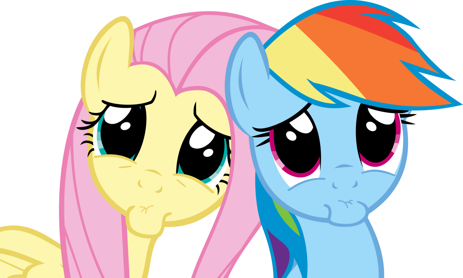 Face By Spyro4287 - My Little Pony Fluttershy And Rainbow Dash (1600x962)