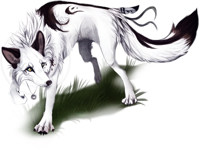 Male Vs Female Wolf Anatomy Gene White And Black Male - Alpha Female Anime Wolves (683x549)