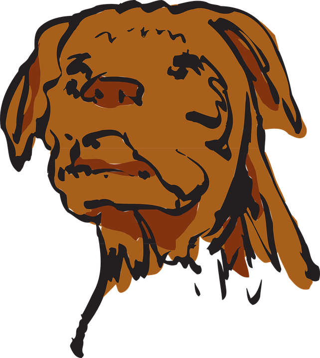 Dog, Art, Pet, Animal, Fur - Muka Anjing Barongsai Cartoon (642x720)