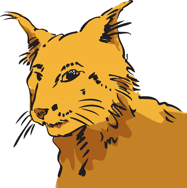Art, Pet, Animal, Fur, Whiskers - Cat (635x640)