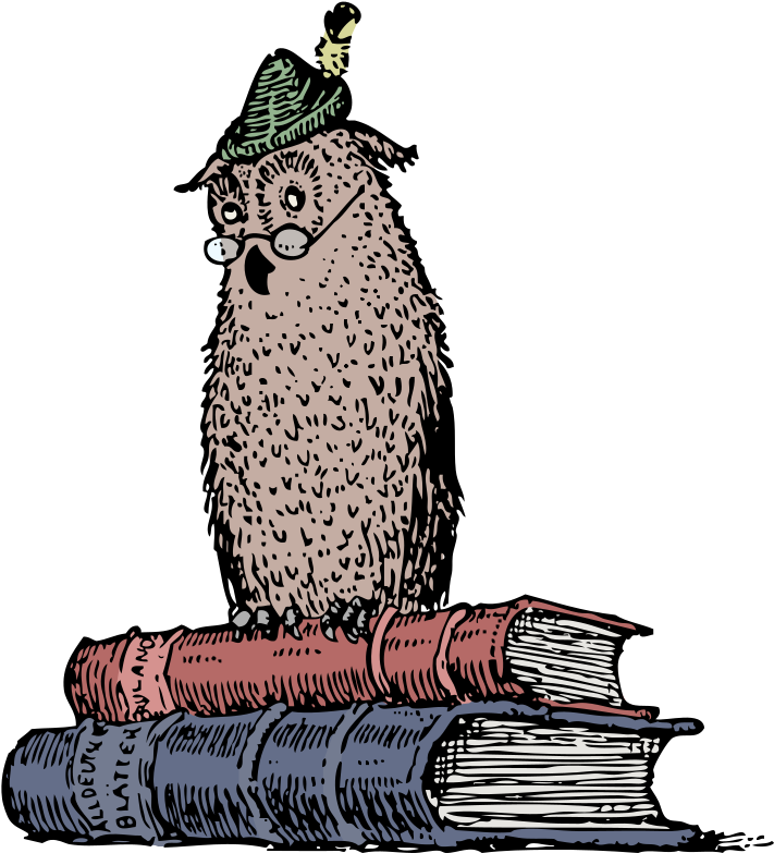 By J4p4n - Zazzle Grammatik-eule Sagt, Wem Entwurf Poster (726x800)