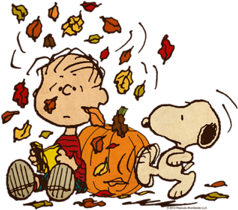 Fall Peanuts Shower Curtain - Cafepress Fall Peanuts Baby Blanket (480x480)