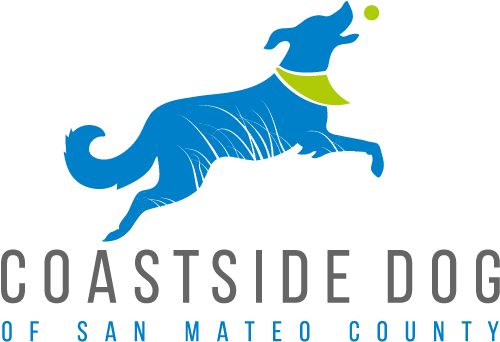 Ggnra Dog Plan/ - Dog Catches Something (586x398)