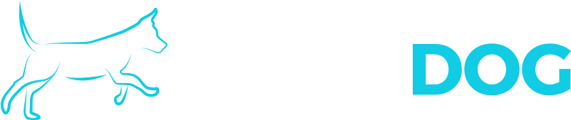 North Dog - Dog Walking (800x177)