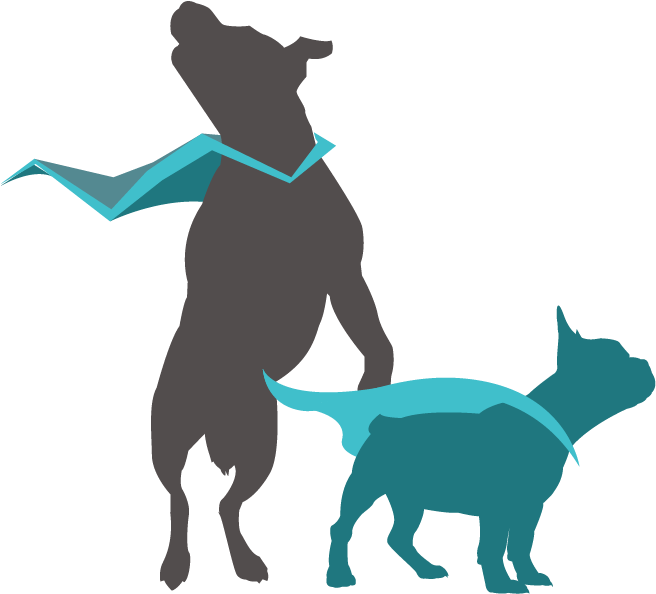 K9 Leadership Portfolio Dog Graphics Big-03 - Dog Catches Something (667x600)