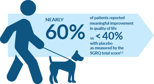 Graphic Showing Utibron Improved Quality Of Life 60% - Dog Vector (502x276)