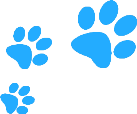 Dog Walking - Transparent Background Paw Print Clip Art (484x413)