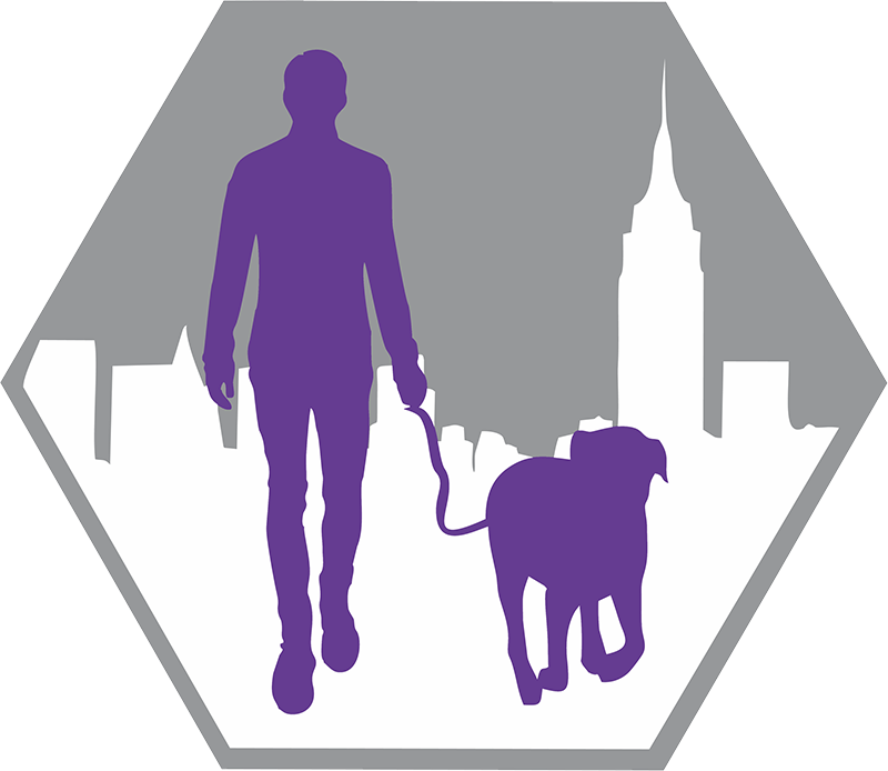 Our People - Dog Walking (800x694)