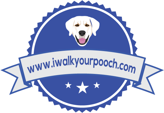 Dog Walking And Pet Service - Blackie Little (642x400)