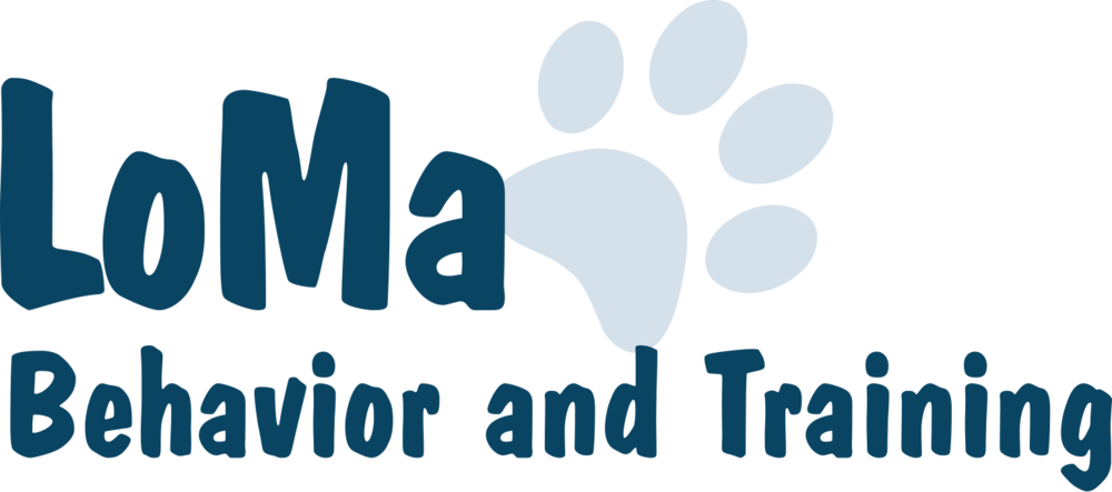 San Antonio Dog Training - San Antonio Dog Training (1000x443)