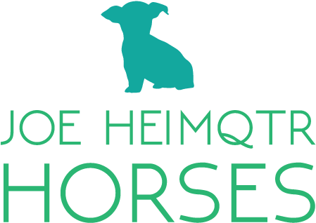 Learning About Dog Training - Training (450x330)