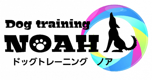 犬のしつけ【犬の家庭教師】 出張トレーニング - Key Fob ,piano Keys Key Ring, Musician Gear, Piano (500x265)