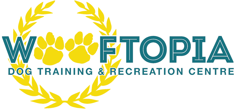 Winnipeg's Newest Premium Dog Daycamp - Stylized Bee N Honeycomb Note Cards (pk (1000x464)