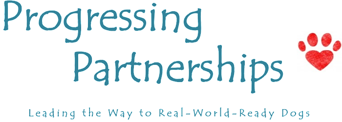 Progressive Partnerships Dog Training Ely Cambs - Dance Like Nobody's Watching Throw Blanket (700x250)