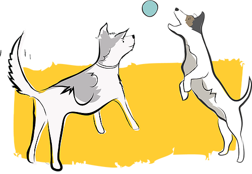 Dog Walking - Long Gun Registry (500x345)