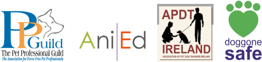 No Previous Training Knowledge Is Required When Starting - Dog Training (890x249)