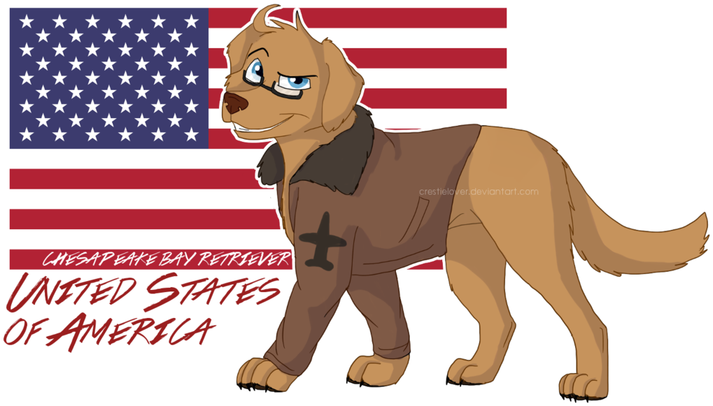 Hetalia Dogs United States Of America - America As A Dog Hetalia (1024x610)