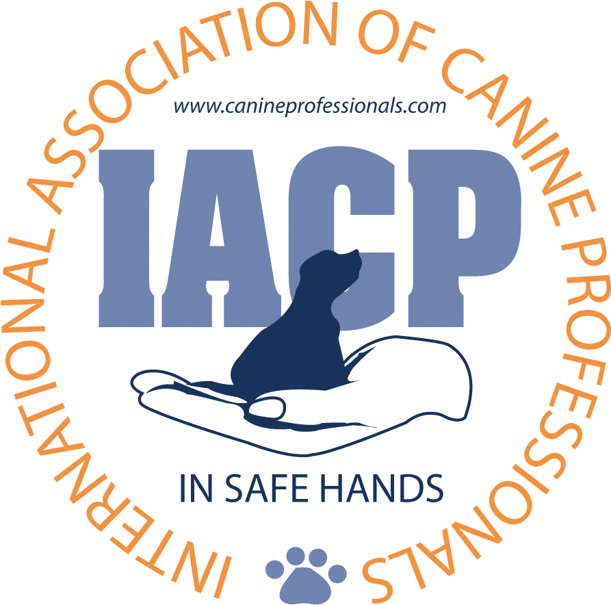 Training, Pack Walks, Boarding Home - International Association Of Canine Professionals (975x975)