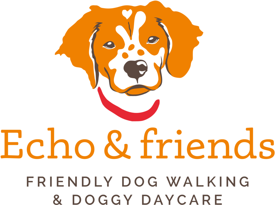 Echo And Friends - Echo And Friends (1000x822)