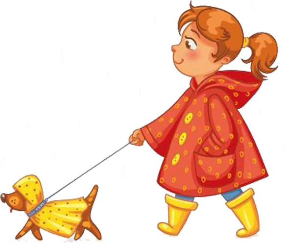 Dog Walking Rain Illustration - Dog Walking Rain Illustration (801x678)