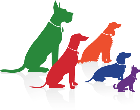 Follow My Lead Offers A One To One 'hands On' Dog Training - Design (485x404)