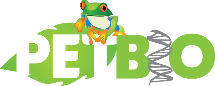 Pet Biologia Ufv - Green-eyed Tree Frog (728x292)