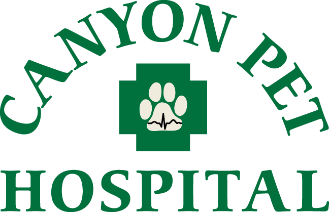 Canyon Pet Hospital - Arch (648x419)
