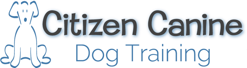 Citizen Canine Dog Training Header - Olhares (827x238)