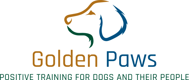 Golden Paws Dog Training - Dog Training (612x261)