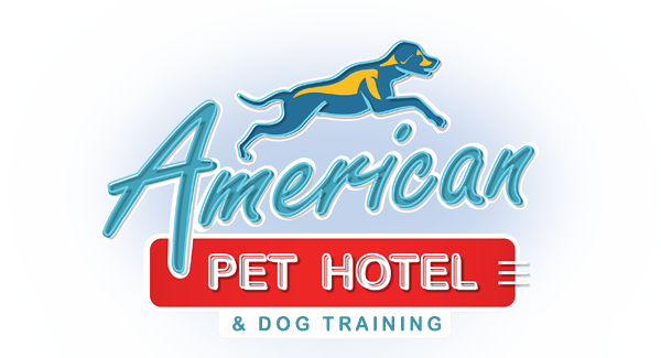 American Pet Hotel & Dog Training - Culver City (600x325)
