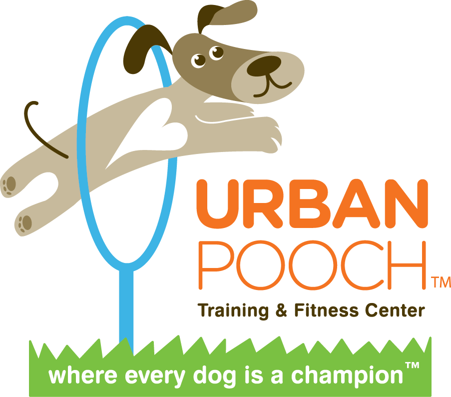 Urban Pooch (903x794)