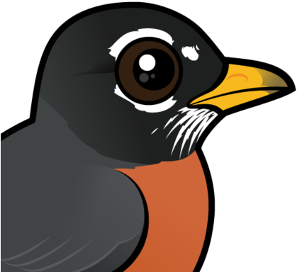 The American Robin Breeds Throughout Canada And The - American Robin Cartoon (440x440)